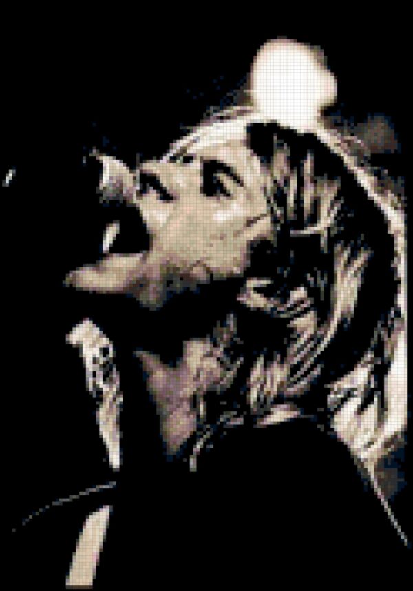 Kurt Cobain of Nirvana- Tribute Original Cross Stitch Pattern Portrait - Image 2