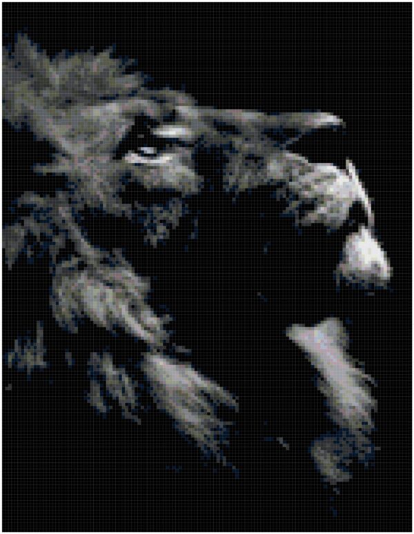 Original Full Coverage Counted Cross Stitch Pattern - Regal Lion Design for Intermediate to Advanced Stitchers - Image 2