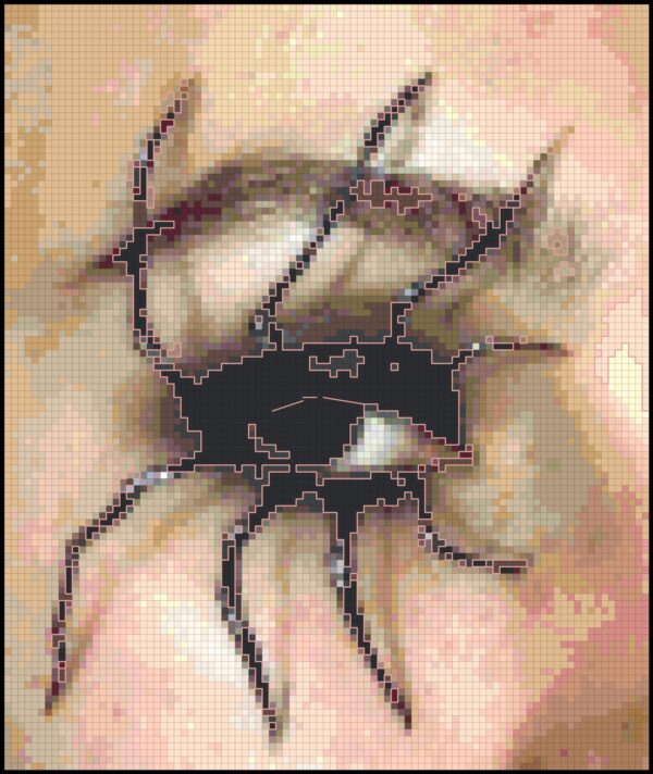 Intricate Spider Eye Full Coverage Counted Cross Stitch Pattern - Image 2