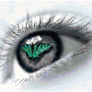 This image is a visual representation of the completed counted cross stitch pattern, generated from the software program used to create the pattern. It showcases the intricate details and vibrant colors of the finished design, featuring a woman's eye with a beautiful teal colored butterfly resting on its iris.