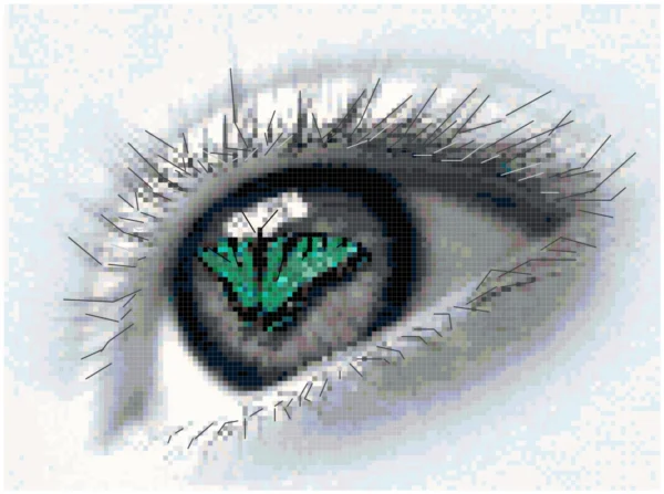 This image is a visual representation of the completed counted cross stitch pattern, generated from the software program used to create the pattern. It showcases the intricate details and vibrant colors of the finished design, featuring a woman's eye with a beautiful teal colored butterfly resting on its iris.