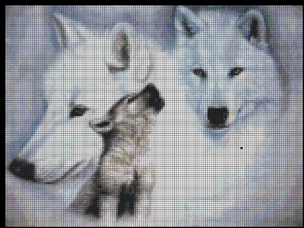 Two Snow Wolves and A Cub: Adorable Cross Stitch Pattern for Intermediate Stitchers - Image 3