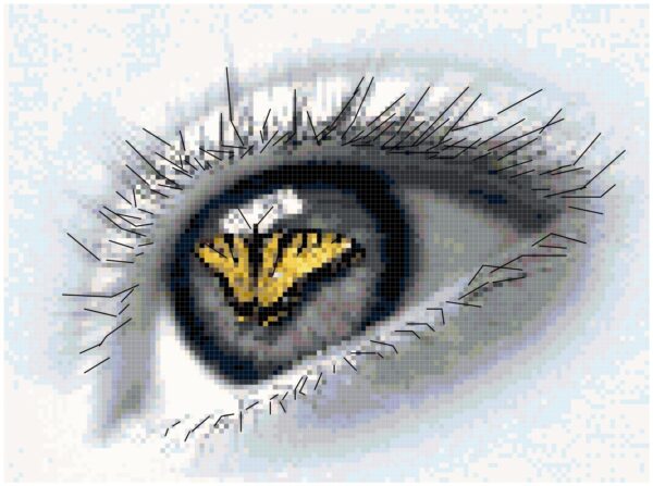 Counted Cross Stitch Original Pattern - Eye of the Beholder