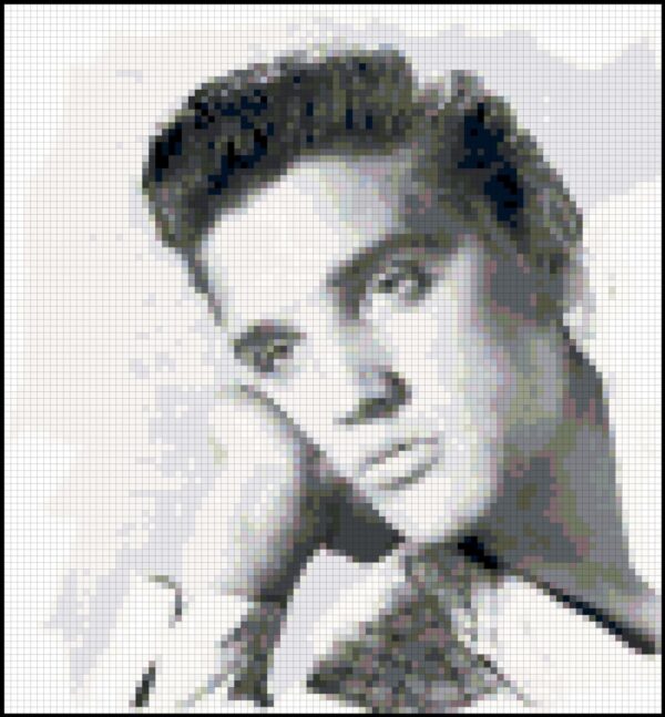 Tribute to Elvis Presley - Original Counted Cross Stitch Pattern