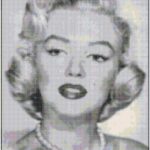 This pattern is of a black and white picture of the late Marilyn Monroe. The pattern calls for about 25 colors of DMC Floss.