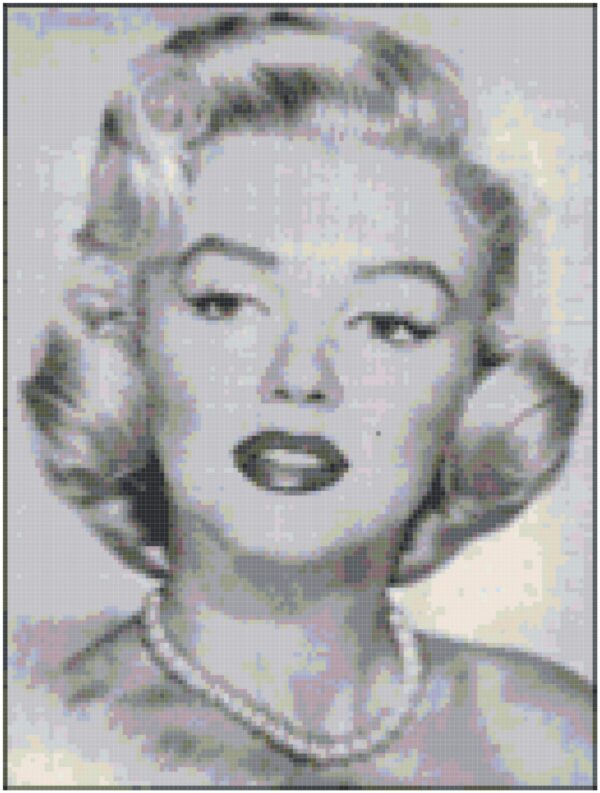 This pattern is of a black and white picture of the late Marilyn Monroe. The pattern calls for about 25 colors of DMC Floss.