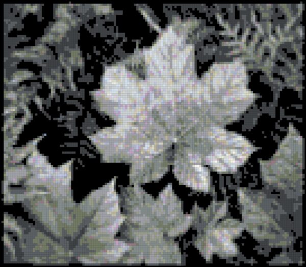 Leaves in Black and White Cross Stitch Pattern