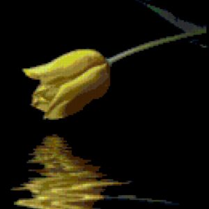 This pattern of a yellow tulip over a pool of water that contains a reflection of the flower. The pattern calls for about 85 colors of DMC Floss.