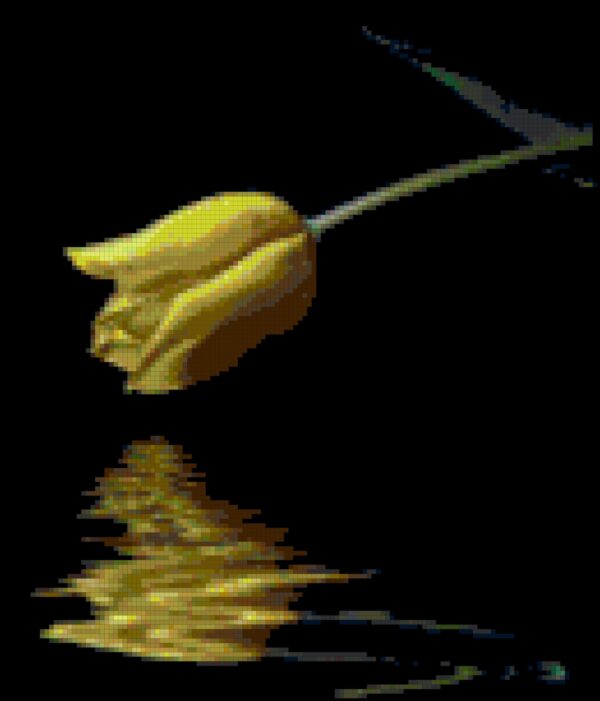 This pattern of a yellow tulip over a pool of water that contains a reflection of the flower. The pattern calls for about 85 colors of DMC Floss.