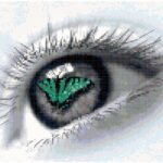 Teal Eye of the Beholder